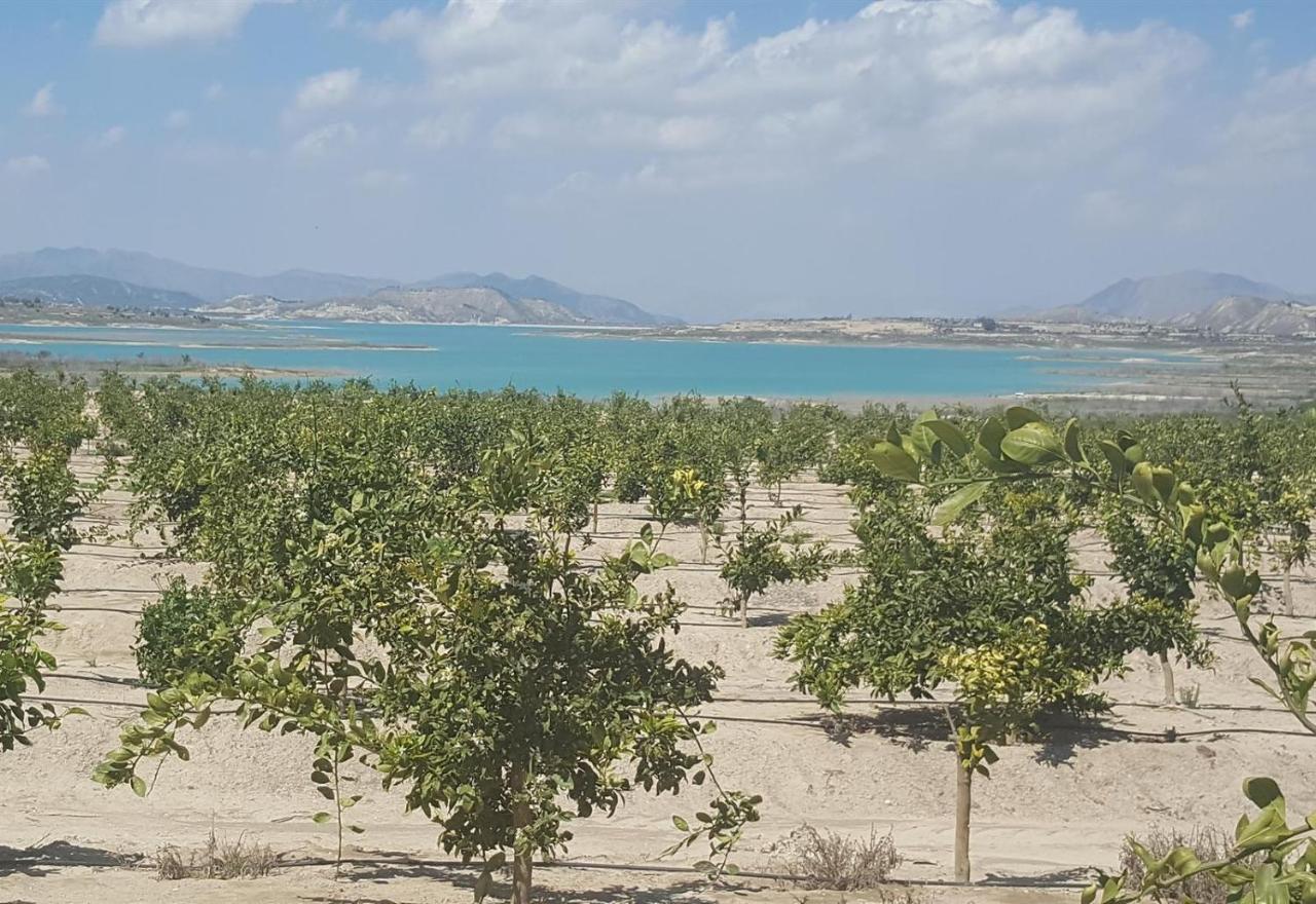 Very Nice Apartment With See Views Dehesa de Campoamor  Zewnętrze zdjęcie